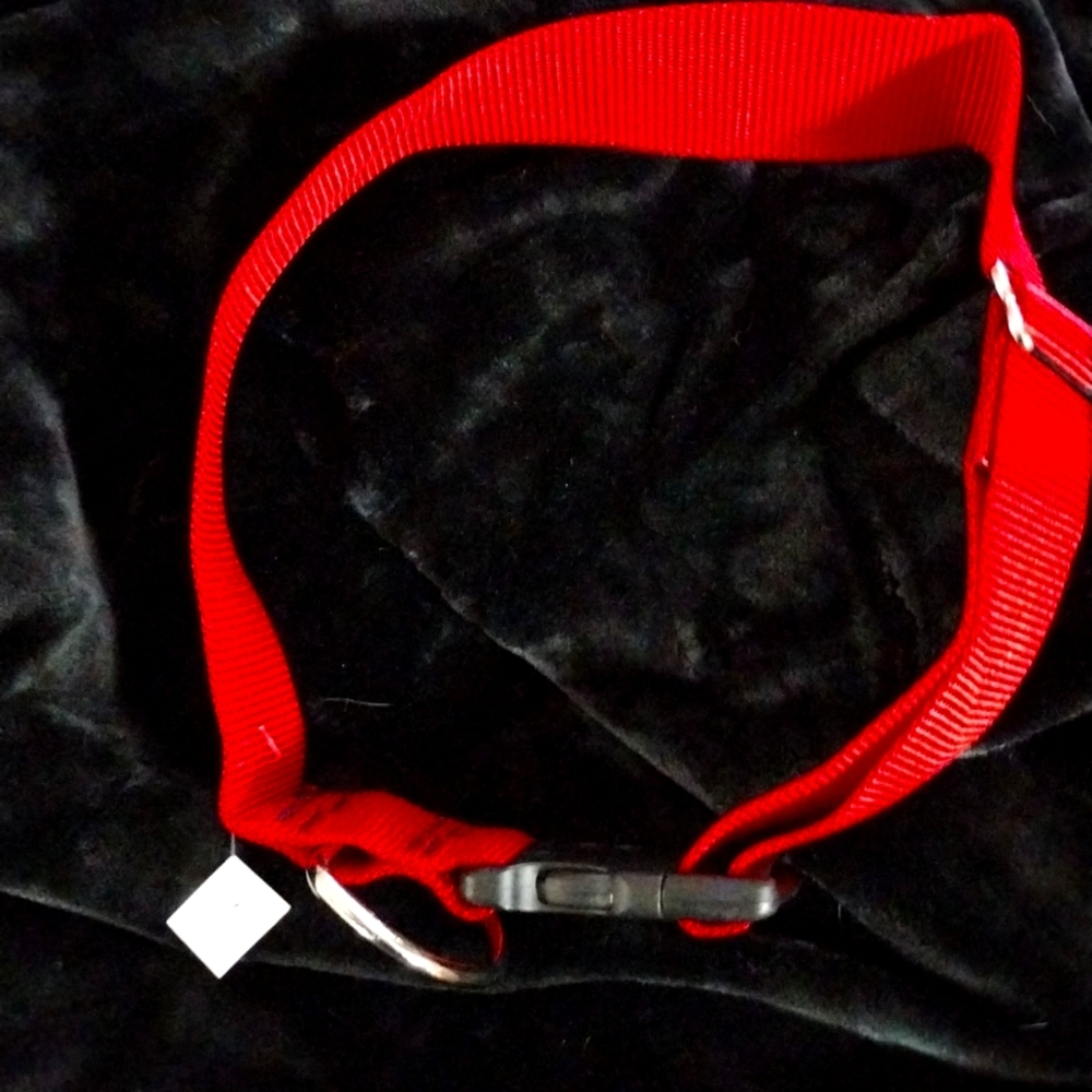 XL dog collar, 2" wide, adjustable